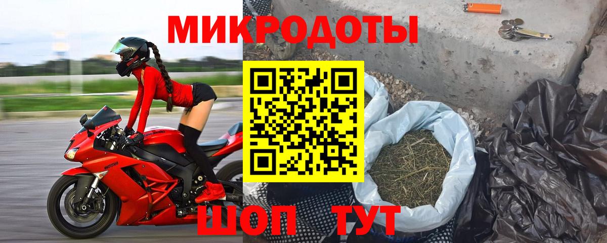 Галлюциногенные грибы Psilocybine cubensis Слободской